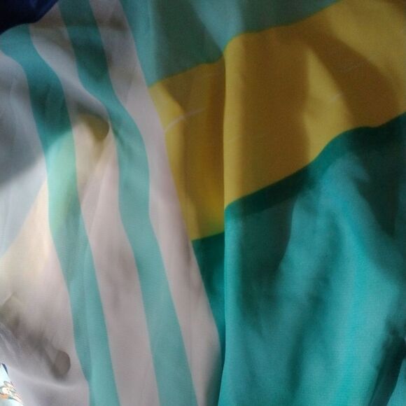 S.L.Fashions Sheer Dress - Picture 12 of 15